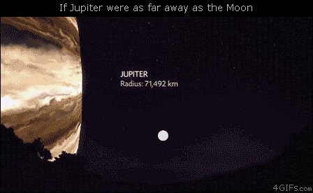 anigif enhanced-buzz-23646-1421340678-21