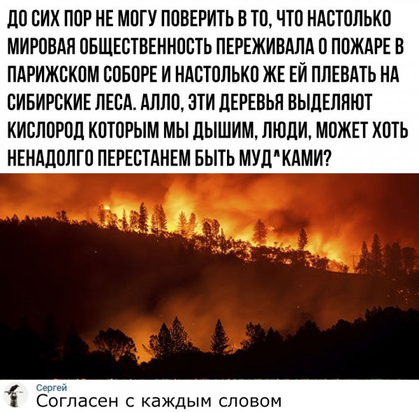 kekfeed 5d423fc228899d4f7e818e6c