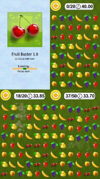 FruitBuster 9.4-Belle