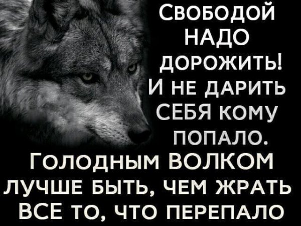 IMG 20260122 184825