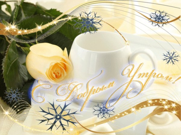 Utro Dobroe Tsvety Roza Zhyoltaya Zima Snezhinki Muzyka