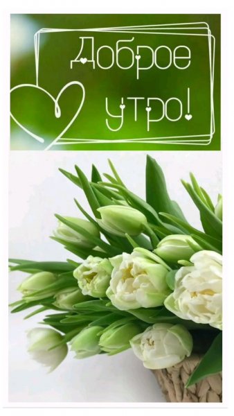 7fda1fbf23a70a8e74e2e71a7f901c34