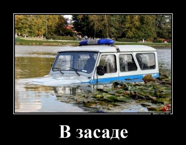 В засаде...