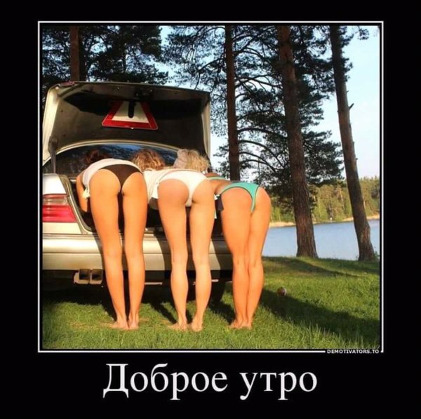 FB IMG 15044515167758530