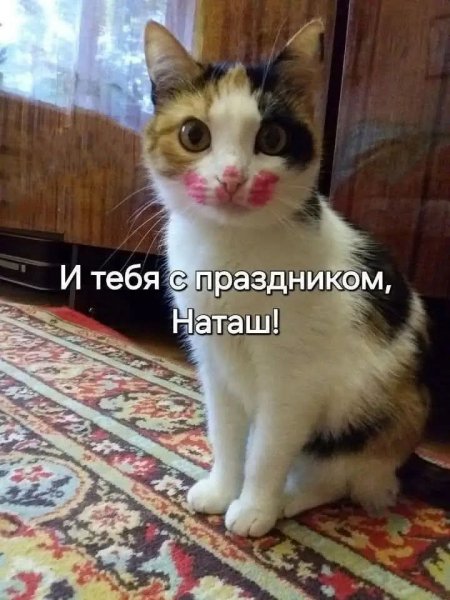 FB IMG 1771088145778