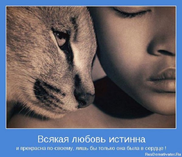 Всякая любовь истинна...