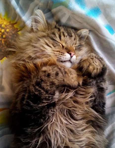 FB IMG 1774291884153