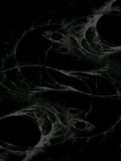 BlackWhiteElm