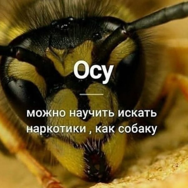 27e735d9aee809dac31e90f1f2b116db