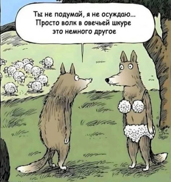 FB IMG 1777393286626