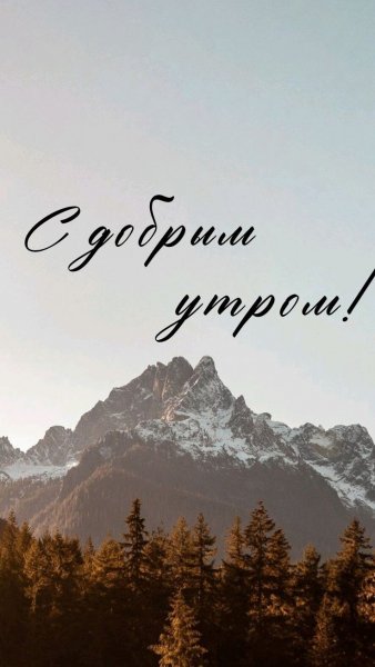 B7ee9eae99d8dd6b145389b2aee67fe6