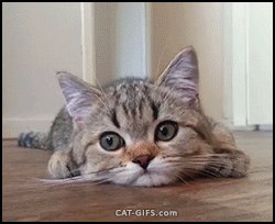 Наслаждение