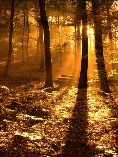 ПРИРОДА