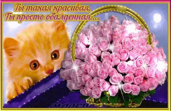 file_74095188