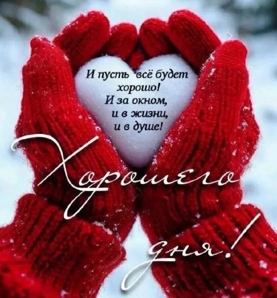 IMG 20260219 212152 519