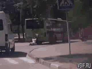 vgif-ru-Avtomobil proekhalsya po cheloveku