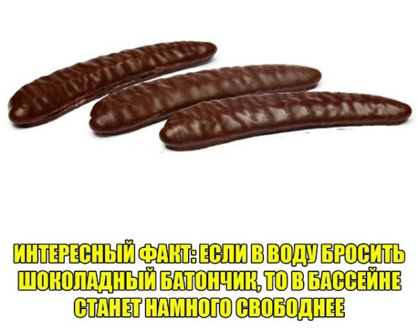 file_102383750