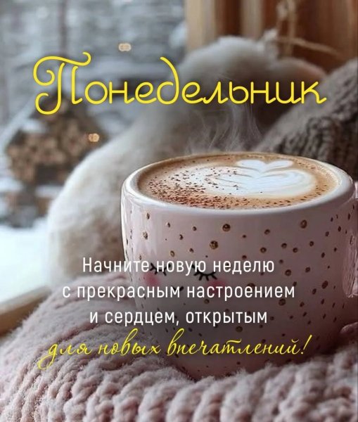 IMG 20260202 173409 595