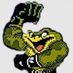BattleToads 2