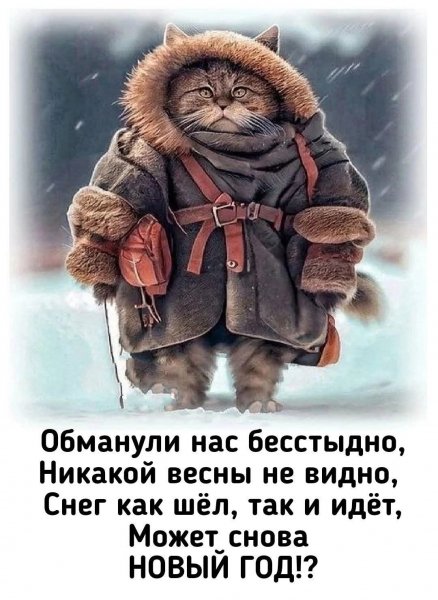 FB IMG 1772634450811