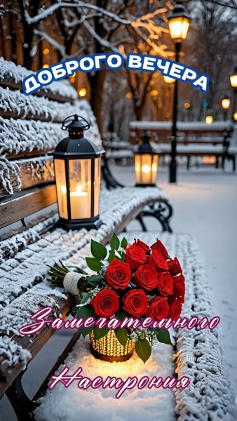 IMG 20251217 053131 565