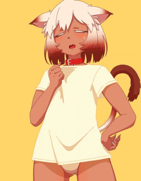 Cat-Girl-Monster-Girl-арт-барышня-art-8094203