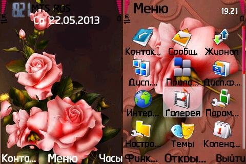pink roses