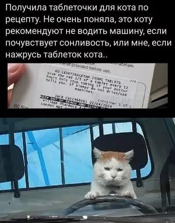 FB IMG 1776446829176