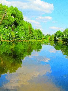 file_63477196