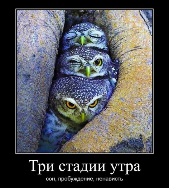 da41e991ee54751cea631142