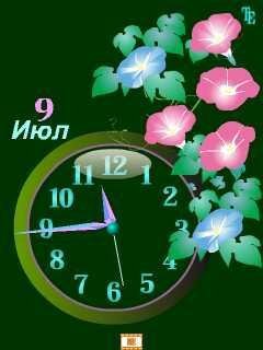 Вьюнки Alla1411 v.49