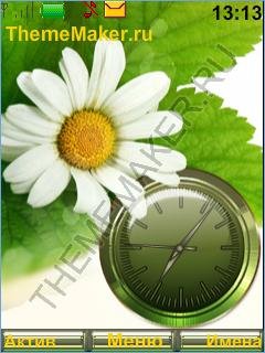 Ромашковое лето