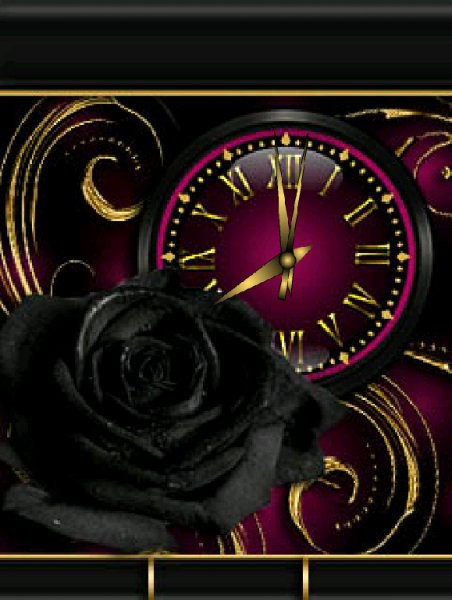 Black rose