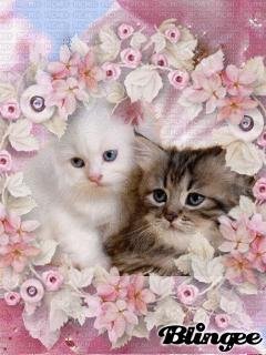 Милая парочка