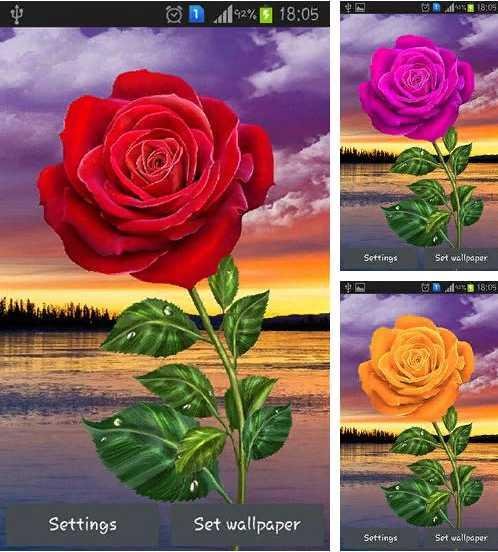 pl-infinzmedia-rosefree