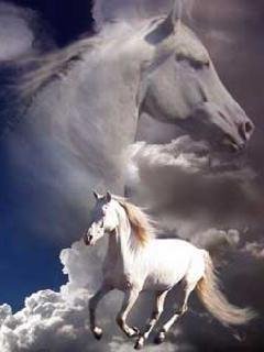 Лошадь белая