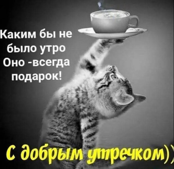 FB IMG 1773373228936