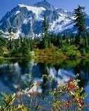NATURE 6