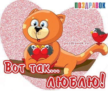 vot-tak-lyublyu-kotik