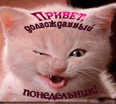 file_93145534