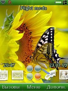 The Butterfly on the sunflower
