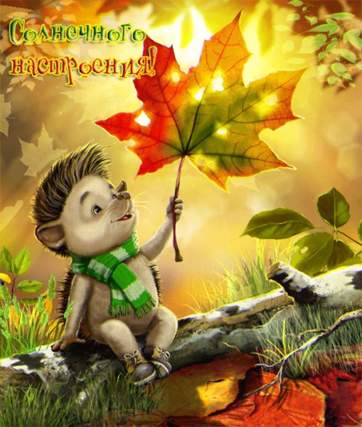 Солнечного настроения!