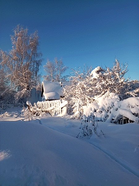 Наша сказка