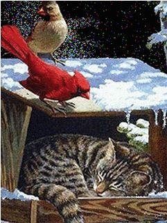 Mesto zanyato... (havafara)