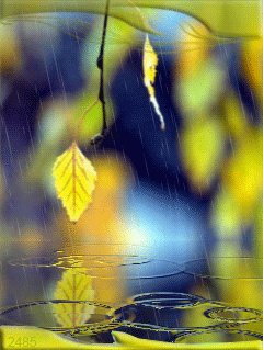 Осень (2havafara)