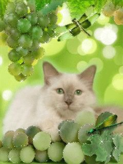 file_47725970