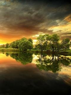Nature