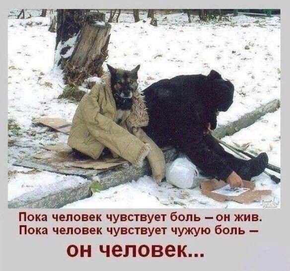 d3efb8184479290eef467def4e2b9