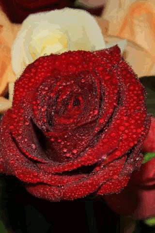 file_76730140