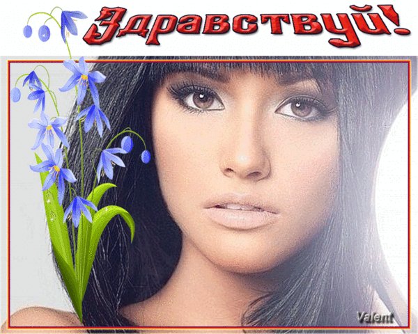 Анимированная открытка здравствуй